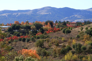 Fall colors in hilly landscape of San Ramon valley, California