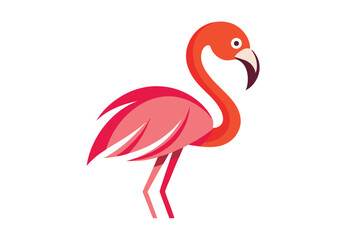 Vibrant flamingo stands gracefully, showcasing bright orange neck and soft pink plumage against white