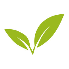 green leaf vector