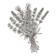 Hand-drawn lavender bouquet with green stems tied with ribbon  
