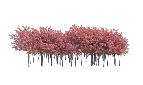 Peach tree forest png alpha chanel