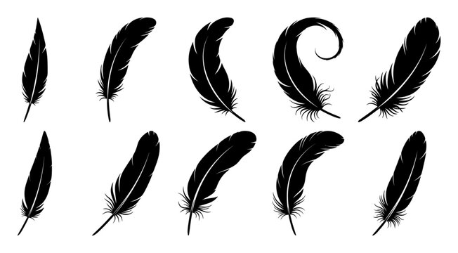 Set of detailed majestic feather collection. Bird Feather black silhouettes. Plumelet collection. Vector isolated on white