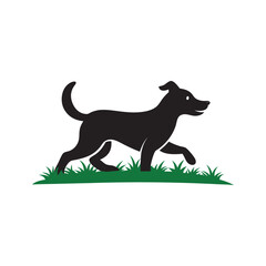 Canine Sprinting Happily In Nature