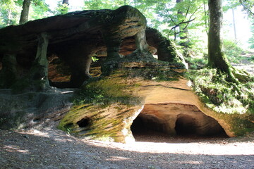 Grotte de l'Ermitage (massif de la Serre) en été - 3