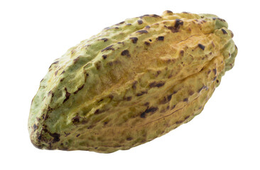Ripe Cocoa Fruit Pod with Textured Outer Shell isolated on a transparent background
