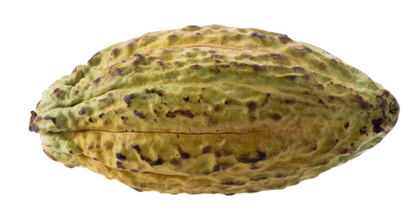 Ripe Cocoa Fruit Pod with Textured Outer Shell isolated on a transparent background