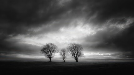 Dramatic black and white landscape featuring bare trees against a cloudy sky evoking solitude and reflection : Generative AI