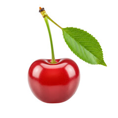 Vibrant Red Cherry: A Perfect Summer Fruit