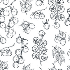 Hand-drawn cherry tomatoes on a branch.  Vector seamless pattern.  