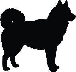 black silhouette of a husky dog standing majestically
