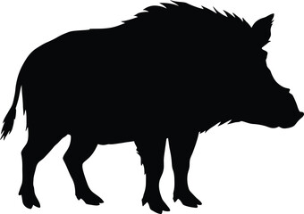 detailed silhouette of a wild boar, is depicted in a simple black and white vector graphic