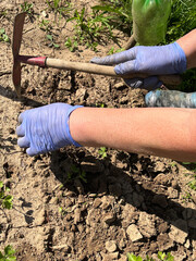 Weeding and loosening the soil