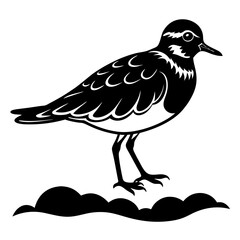Fototapeta premium Stylized black and white illustration of a standing bird with detailed feathers