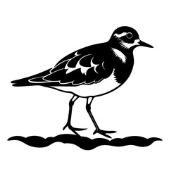 Obraz premium Black and white silhouette of a sandpiper bird standing on wavy ground