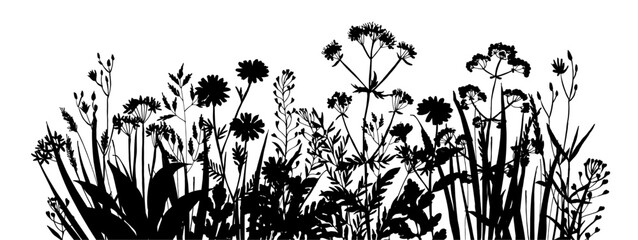 Vector silhouette of wild meadow herbs and flowers. Natural black grass border on white background. Perfect for botanical design, print, cards, posters, eco packaging, and decorative elements.