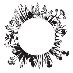 Vector silhouette of wild meadow herbs and flowers. Natural black grass border on white background. Perfect for botanical design, print, cards, posters, eco packaging, and decorative elements.