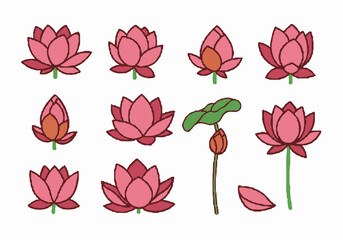 Hand-drawn pink lotus flower illustrations in various stages, including buds, blooms, leaves, and a single petal on a white background.