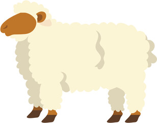 vector illustration of a sheep