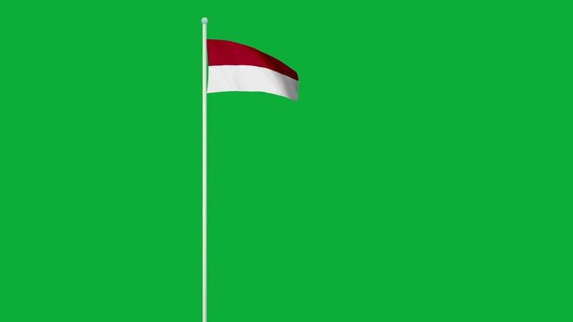 INDONESIA flag. INDONESIA flag video. Flag of INDONESIA Waving in the wind, video, mp4, waving in the Sky, Green screen flag, national flag of the country.