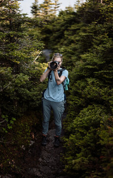 woman hiking in dense evergreen forest takes a photograph, Maine