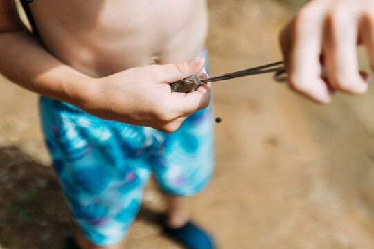 Boy unhooking fish with fishing forceps pliers