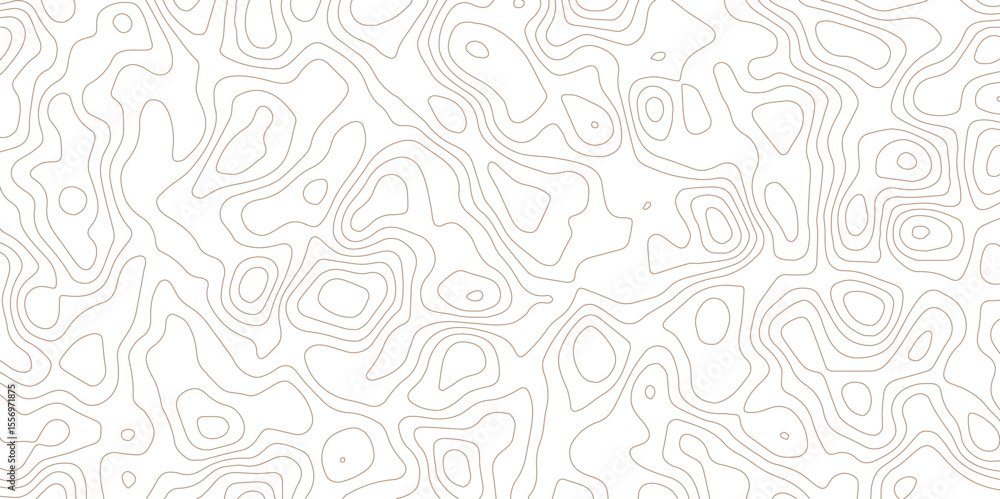 Poster abstract light png background with curved contour line art and topographic flow.