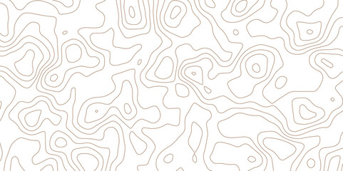 Soft White PNG Terrain Lines with Minimalist Abstract Contour Background.