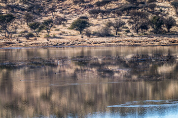 Lac dans le centre de la Namibie durant l'hiver austral