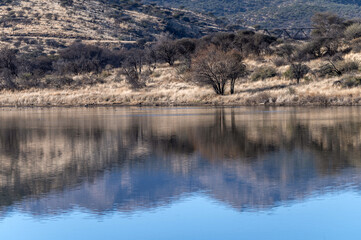 Lac dans le centre de la Namibie durant l'hiver austral