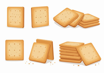 Vector Illustration Set of Different Rectangular Cracker Arrangements Including Stacks and Singles on White Background