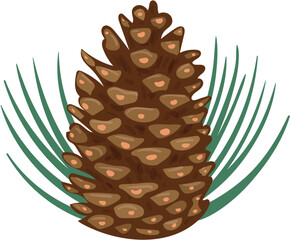 vector illustration of a pine cone