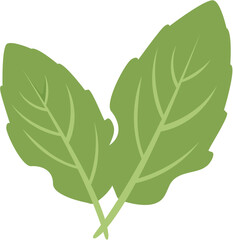 vector illustration of green leaf