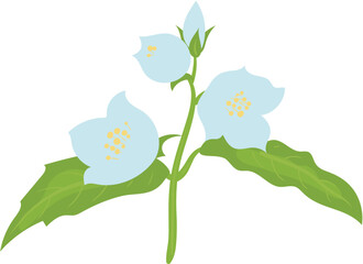 vector illustration of a blue flower