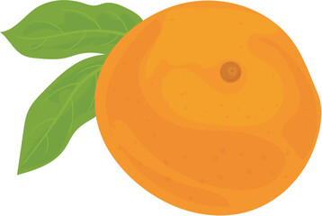 orange fruit vector illustration