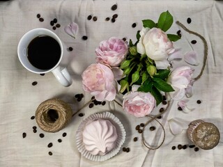 still life with pink roses
