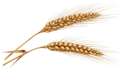 Golden Wheat Ears Harvest Illustration