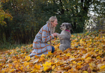 Smiling woman in coat with her mixed-breed dog enjoying autumn leaves in a park