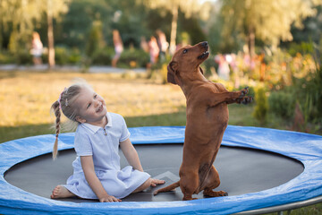 a three year old smiling girl playing with dachshund dog on trampoline in green sunny summer park