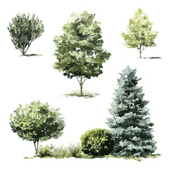 Fototapeta premium Watercolor Trees And Shrubs Side View Set. Landscape Architecture And Garden Planning Element Collection. Isolated Vector Illustration