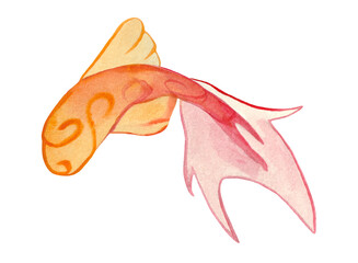 Watercolor Koi carp fish isolated on white background. Watercolor design element.