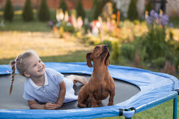 a three year old smiling girl playing with dachshund dog on trampoline in green sunny summer park