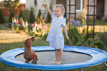 a three year old smiling girl playing with dachshund dog on trampoline in green sunny summer park