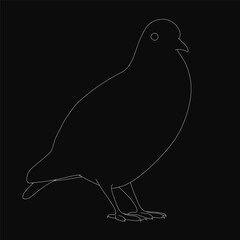 Black and white line art pigeon with wings spread, head tilted slightly. The bird has an open beak and eyes gazing sideways, set against a dark background. Simple yet elegant monochrome illustration.
