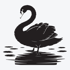 Silhouette of a black swan standing in dark water area