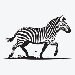 Zebra running in black and white vector illustration art