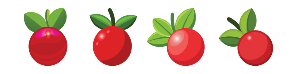 Cranberry Flat Illustration in Simple Minimalist Flat Style