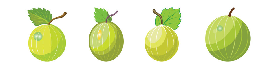 Gooseberry Flat Style Berry Fruit Vector Illustration