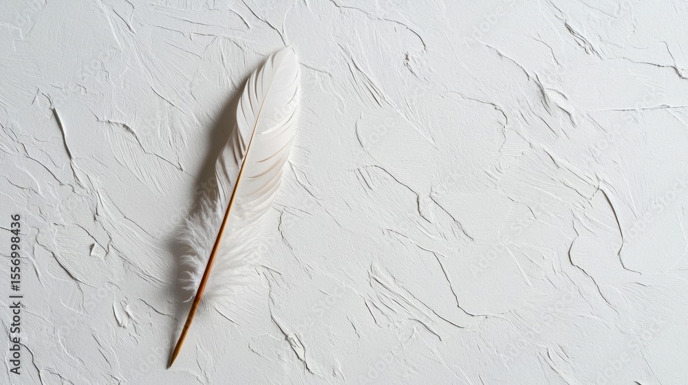 Poster close-up of a white feather on a white textured background. the feather is in the center of the imag