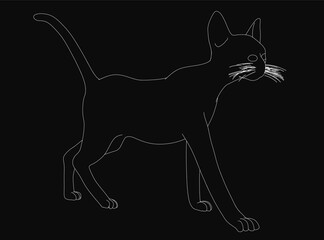 A black and white drawing of a walking cat outlined in white against a dark background, with detailed fur and expressive features clearly visible. The minimalist style highlights the cat's graceful.