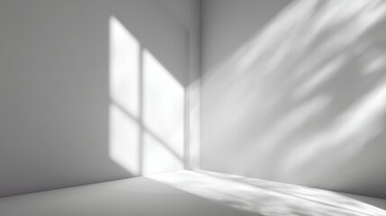 A minimalistic interior space featuring soft shadows and natural light streaming through a window.